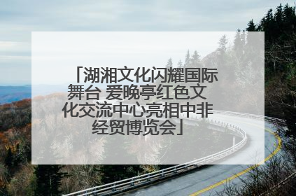 湖湘文化闪耀国际舞台 爱晚亭红色文化交流中心亮相中非经贸博览会