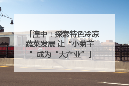 湟中：探索特色冷凉蔬菜发展 让“小菊芋”成为“大产业”