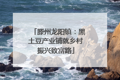 滕州龙阳镇：黑土豆产业铺就乡村振兴致富路