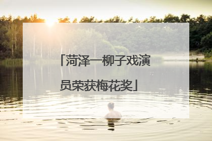 菏泽一柳子戏演员荣获梅花奖