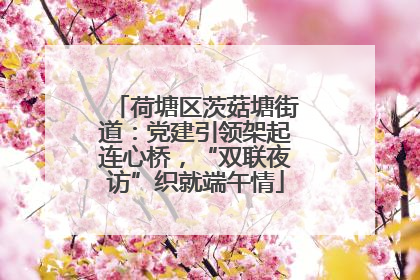 荷塘区茨菇塘街道：党建引领架起连心桥，“双联夜访”织就端午情