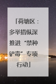 荷塘区：多举措纵深推进“禁种铲毒”专项行动