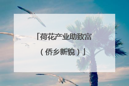 荷花产业助致富（侨乡新貌）