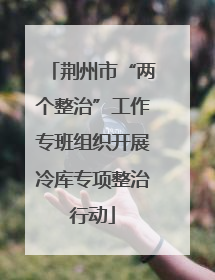 荆州市“两个整治”工作专班组织开展冷库专项整治行动