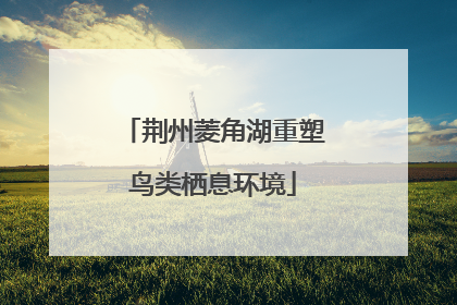 荆州菱角湖重塑鸟类栖息环境