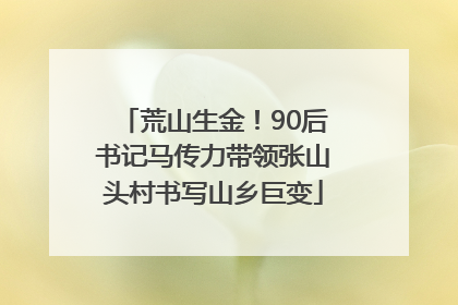 荒山生金！90后书记马传力带领张山头村书写山乡巨变