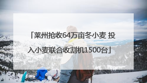 莱州抢收64万亩冬小麦 投入小麦联合收割机1500台