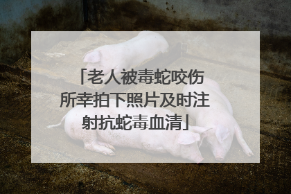 老人被毒蛇咬伤 所幸拍下照片及时注射抗蛇毒血清