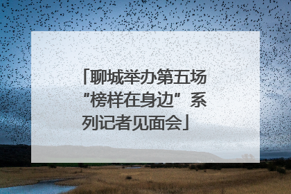 聊城举办第五场“榜样在身边”系列记者见面会