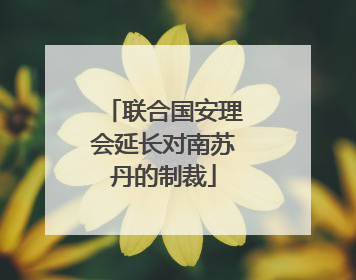 联合国安理会延长对南苏丹的制裁