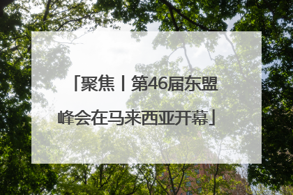 聚焦丨第46届东盟峰会在马来西亚开幕
