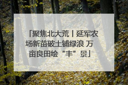 聚焦北大荒丨延军农场新苗破土铺绿浪 万亩良田绘“丰”景