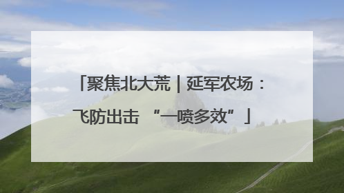 聚焦北大荒｜延军农场：飞防出击 “一喷多效”