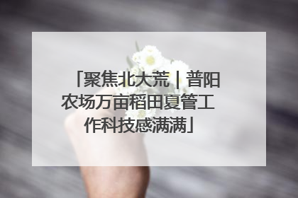 聚焦北大荒｜普阳农场万亩稻田夏管工作科技感满满