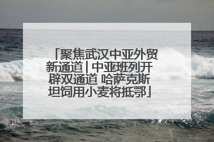聚焦武汉中亚外贸新通道│中亚班列开辟双通道 哈萨克斯坦饲用小麦将抵鄂