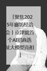 聚焦2025年廊坊经洽会丨京津冀首个AI招商选址大模型亮相
