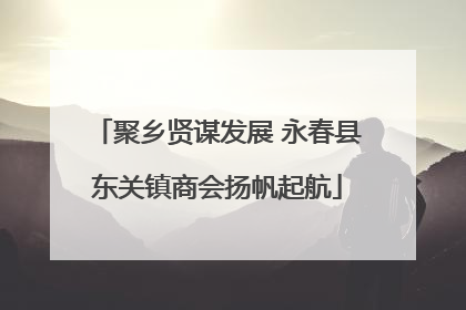 聚乡贤谋发展 永春县东关镇商会扬帆起航