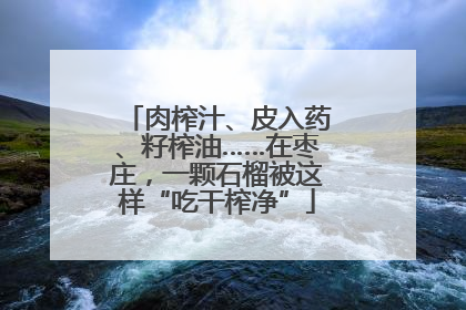 肉榨汁、皮入药、籽榨油……在枣庄，一颗石榴被这样“吃干榨净”