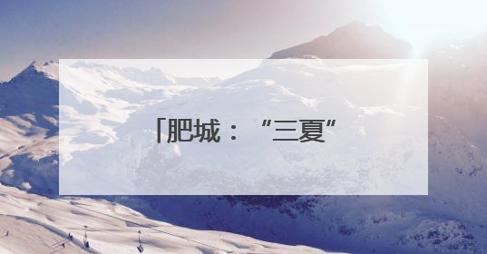 肥城：“三夏”时节金麦浪，供销服务助丰收