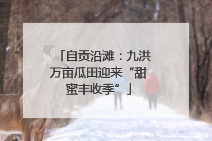 自贡沿滩：九洪万亩瓜田迎来“甜蜜丰收季”