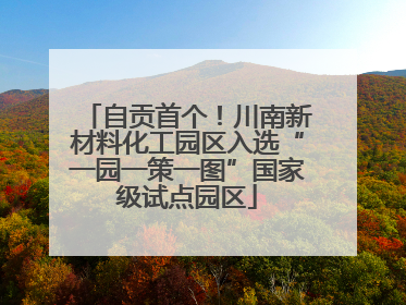 自贡首个！川南新材料化工园区入选“一园一策一图”国家级试点园区