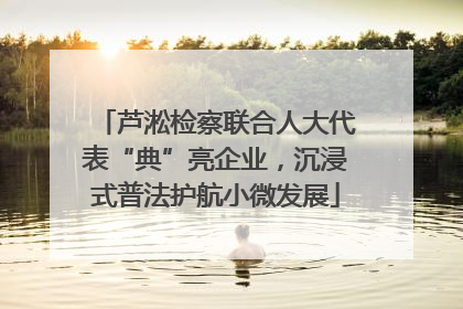 芦淞检察联合人大代表“典”亮企业，沉浸式普法护航小微发展