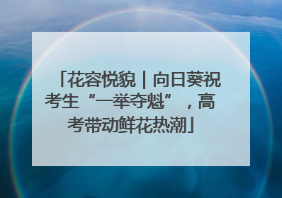 花容悦貌｜向日葵祝考生“一举夺魁”，高考带动鲜花热潮