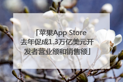 苹果App Store去年促成1.3万亿美元开发者营业额和销售额