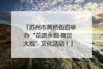 苏州市黄桥街道举办“花语永恒·微景大观”文化活动！