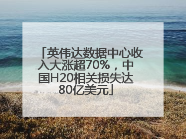 英伟达数据中心收入大涨超70%，中国H20相关损失达80亿美元