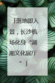 落地即入景，长沙机场化身“湖湘文化展厅”