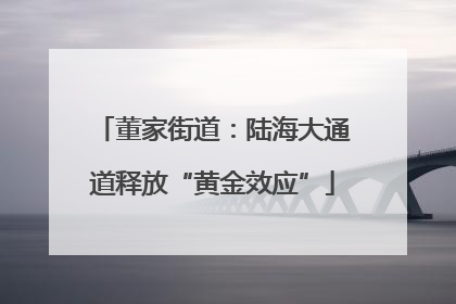 董家街道：陆海大通道释放“黄金效应”