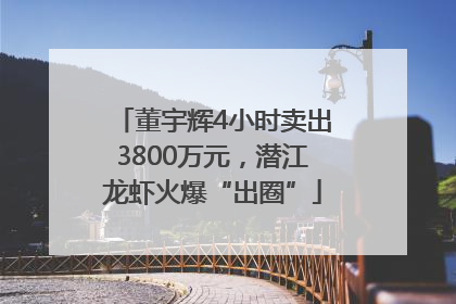 董宇辉4小时卖出3800万元，潜江龙虾火爆“出圈”