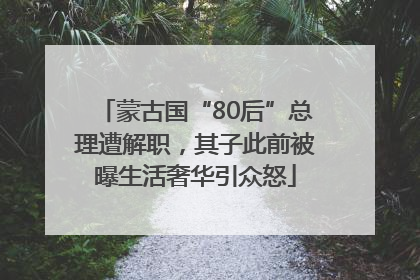 蒙古国“80后”总理遭解职，其子此前被曝生活奢华引众怒