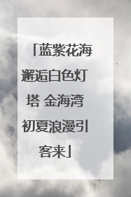 蓝紫花海邂逅白色灯塔 金海湾初夏浪漫引客来