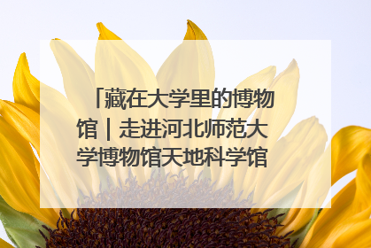 藏在大学里的博物馆｜走进河北师范大学博物馆天地科学馆：在校园里赴一场“宇宙之约”