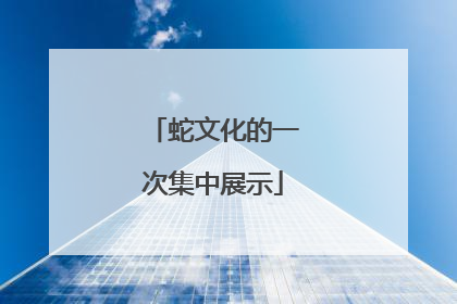 蛇文化的一次集中展示