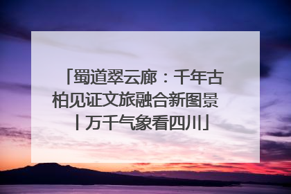 蜀道翠云廊：千年古柏见证文旅融合新图景丨万千气象看四川