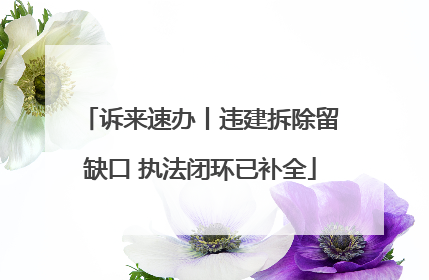 诉来速办丨违建拆除留缺口 执法闭环已补全