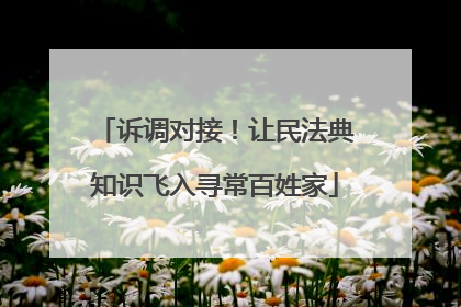 诉调对接！让民法典知识飞入寻常百姓家