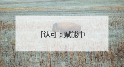 认可：赋能中小企业发展