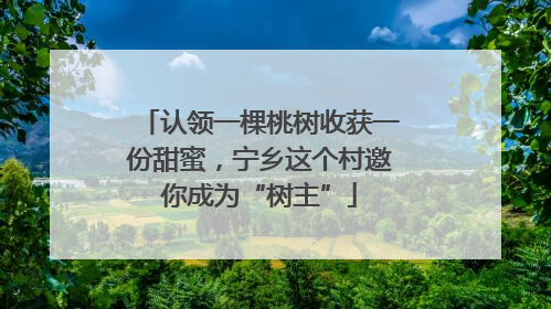 认领一棵桃树收获一份甜蜜，宁乡这个村邀你成为“树主”