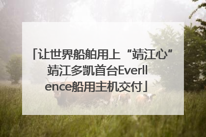 让世界船舶用上“靖江心” 靖江多凯首台Everllence船用主机交付