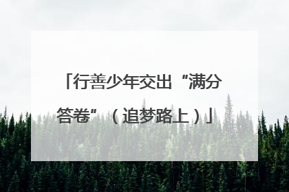 行善少年交出“满分答卷”（追梦路上）