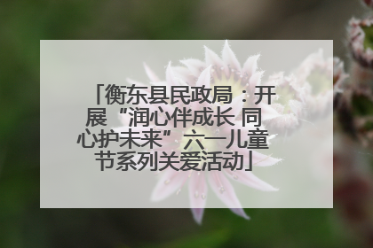 衡东县民政局：开展“润心伴成长 同心护未来”六一儿童节系列关爱活动