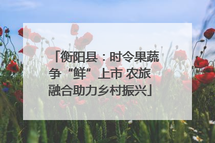 衡阳县：时令果蔬争“鲜”上市 农旅融合助力乡村振兴