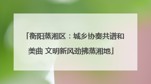 衡阳蒸湘区：城乡协奏共谱和美曲 文明新风劲拂蒸湘地