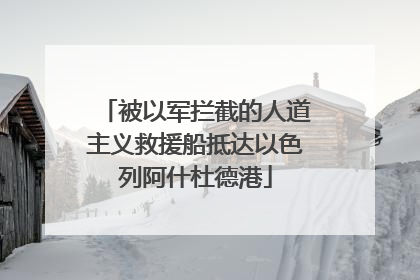 被以军拦截的人道主义救援船抵达以色列阿什杜德港