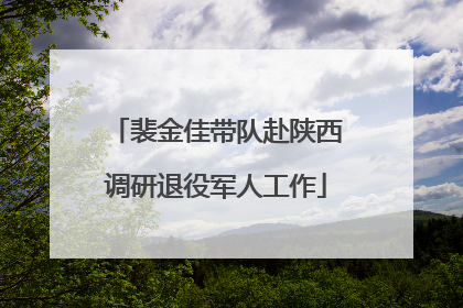 裴金佳带队赴陕西调研退役军人工作