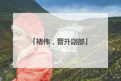 褚伟，晋升副部